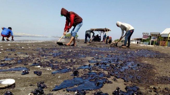 Sejumlah Muara Sungai Di Karawang Masih Tercemar Limbah Tumpahan Minyak