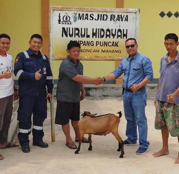 PT NPN Berkurban 7 Kambing di Hari Raya Idul Adha 1441 H ...